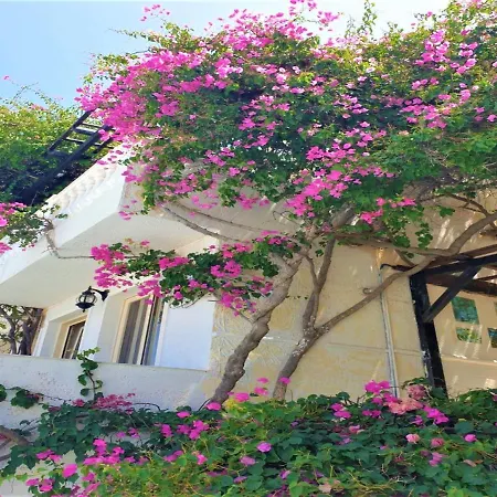 Entire Full View 3 Bedrooms 3 Bathrooms 3 Kitchens Villa *