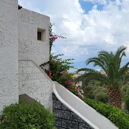 Entire Full View 3 Bedrooms 3 Bathrooms 3 Kitchens *